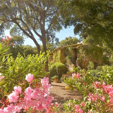 Le Bastidon Saint-michel B&B